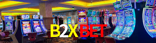 Interface Premium B2Xbet